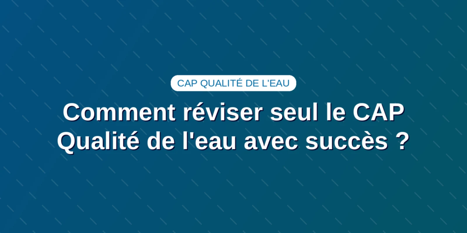 Comment réviser seul le CAP Qualité de l'eau avec succès ? Couverture : Comment réviser seul le CAP Qualité de l'eau avec succès ?